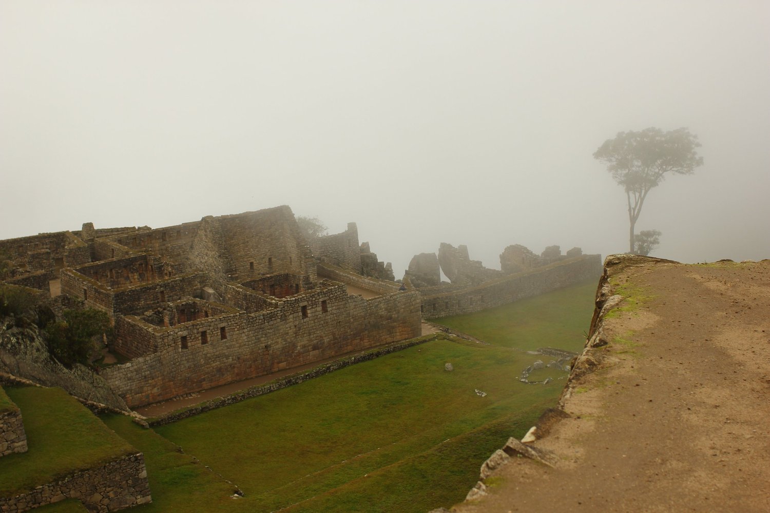 IMG_1254.jpg