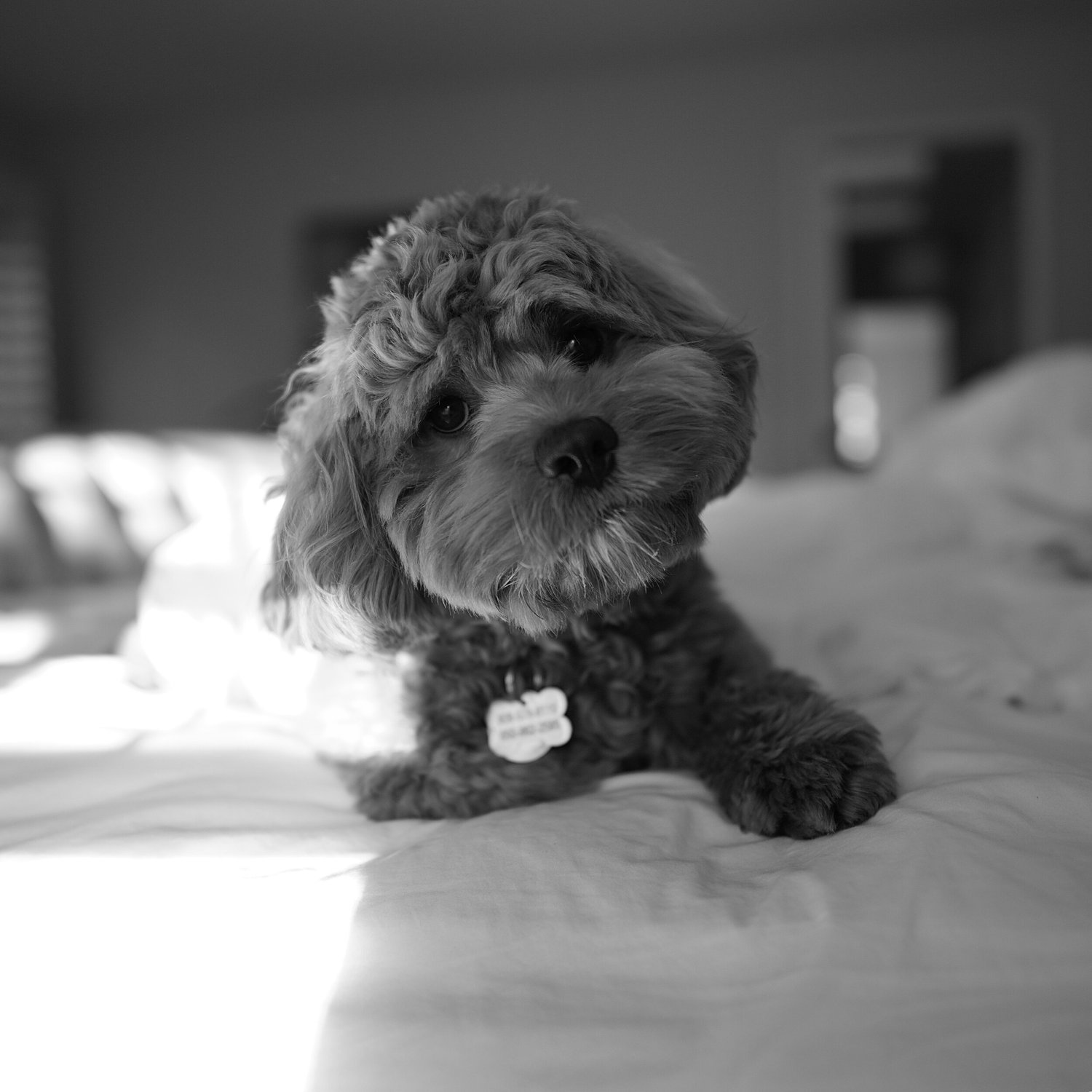 JIM01360@0.5x.jpg