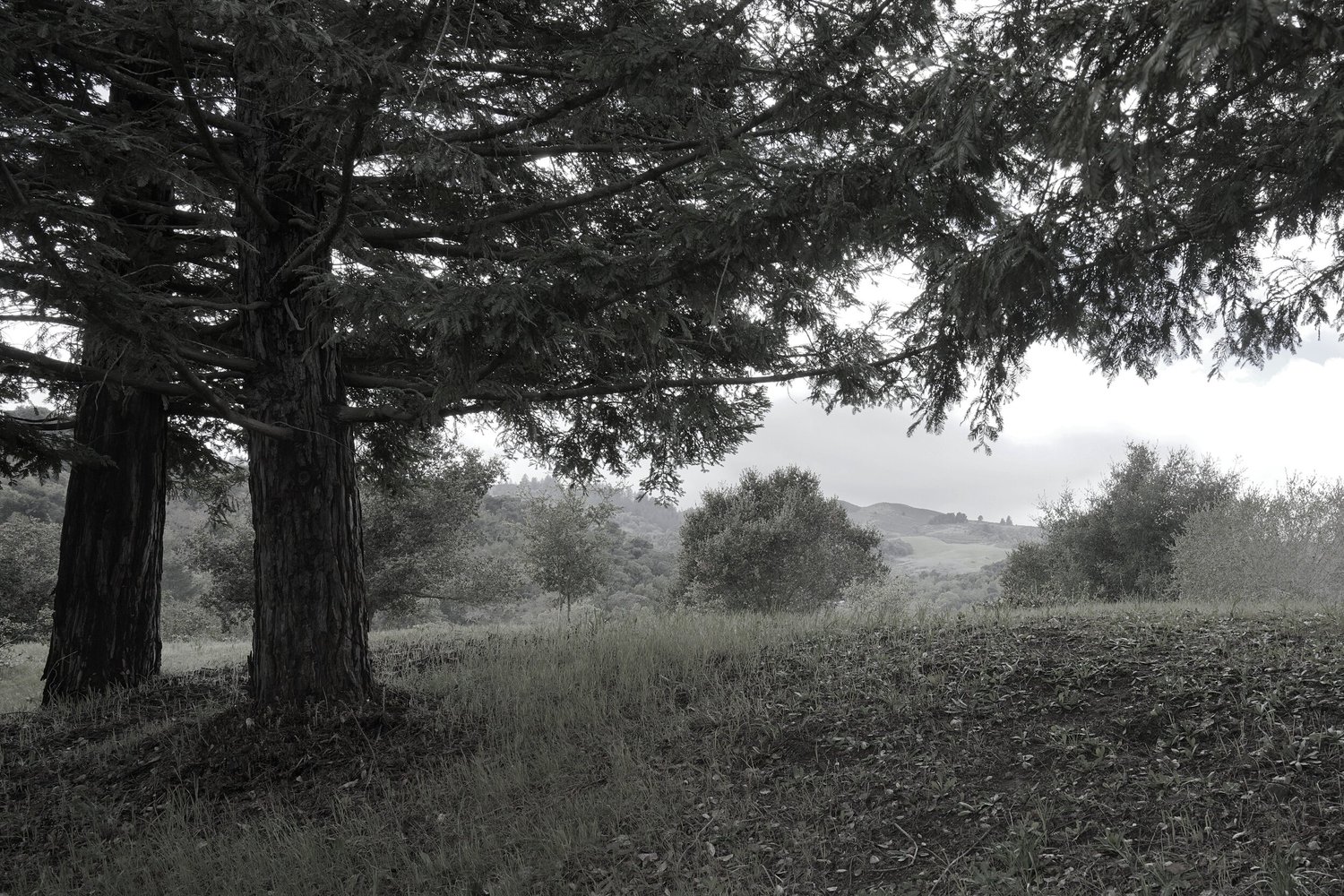 Photograph by Joseph Malchow