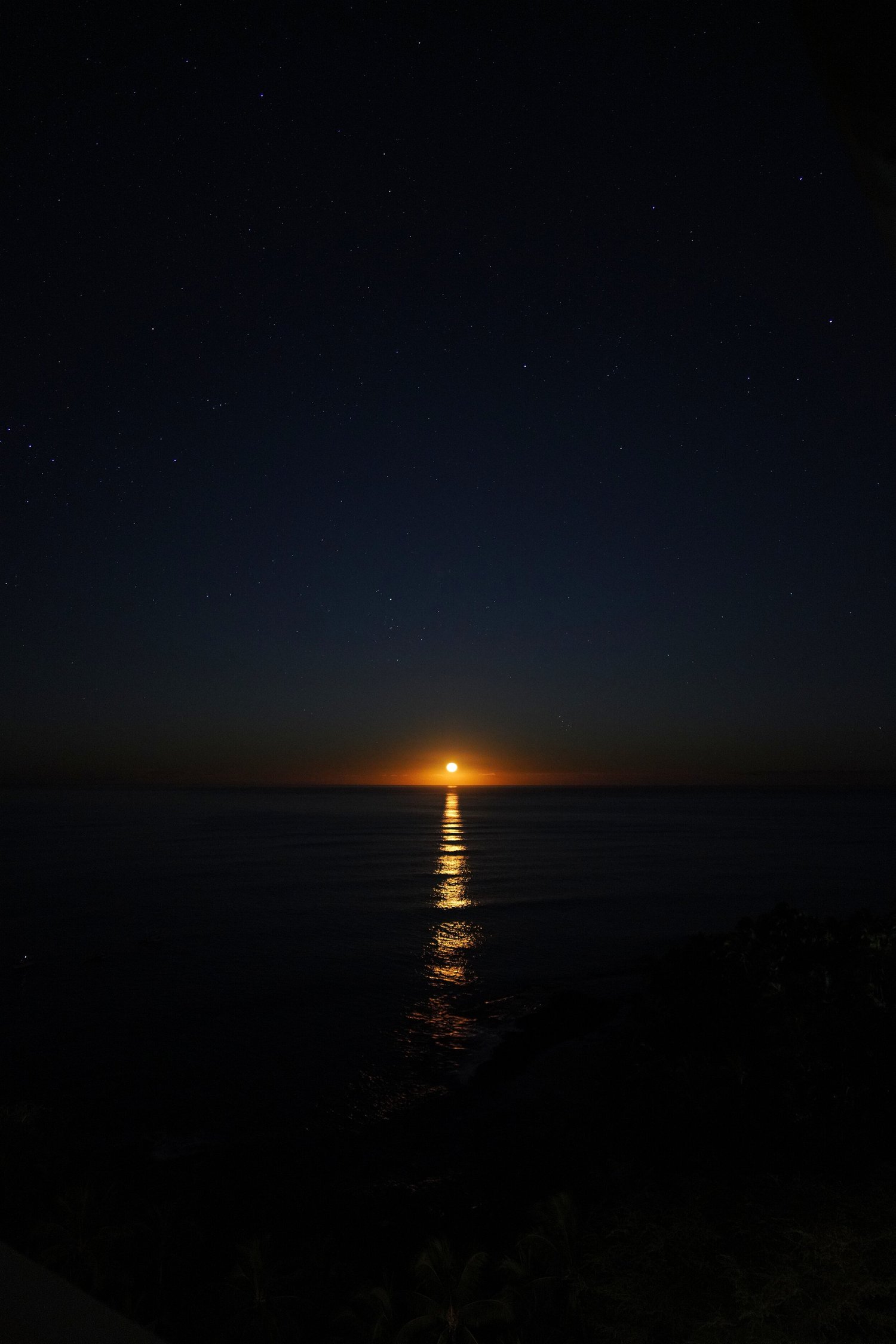 JM_01144@0.5x.jpg
